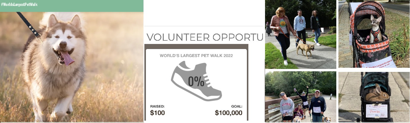 Join the World’s Largest Pet Walk 2022