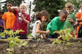 Help with environmental education for youth