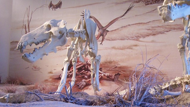Support Agate Fossil Beds National Monument in becoming more accessible to visitors with disabilities